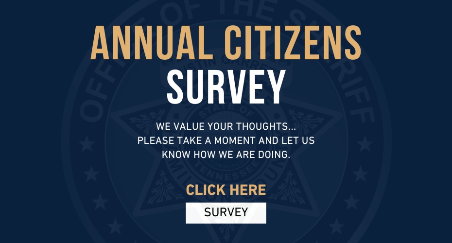 Citizen's Survey
