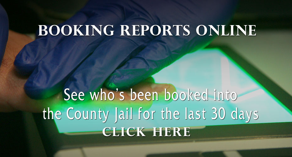 Booking Reports